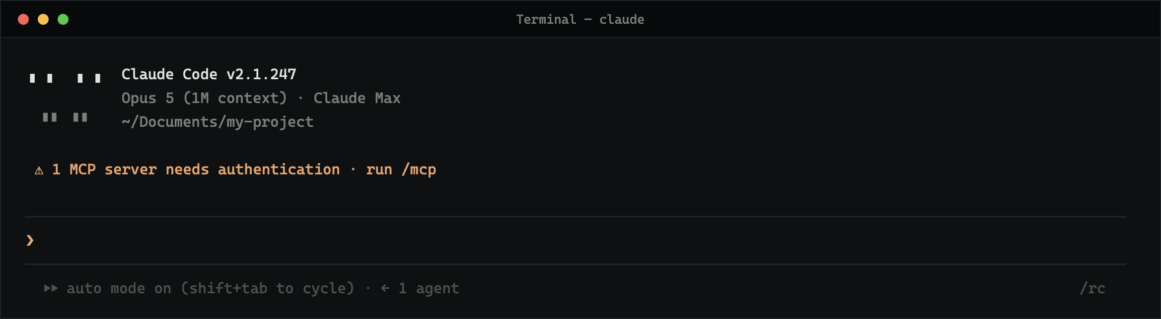The Claude Code welcome screen showing the version, the model, the working folder and an empty prompt